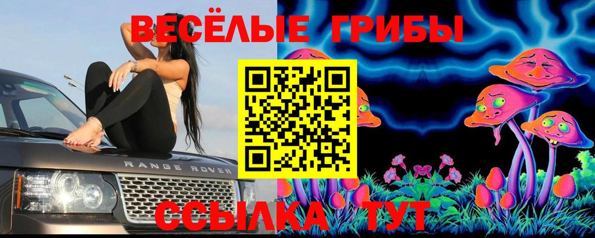 Псилоцибиновые грибы GOLDEN TEACHER  Вход с VPN  Видное  Псилоцибиновые грибы мицелий 